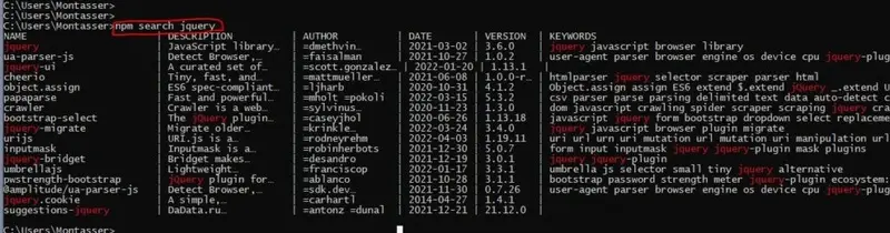 npm search comand