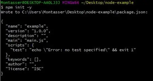 npm package
